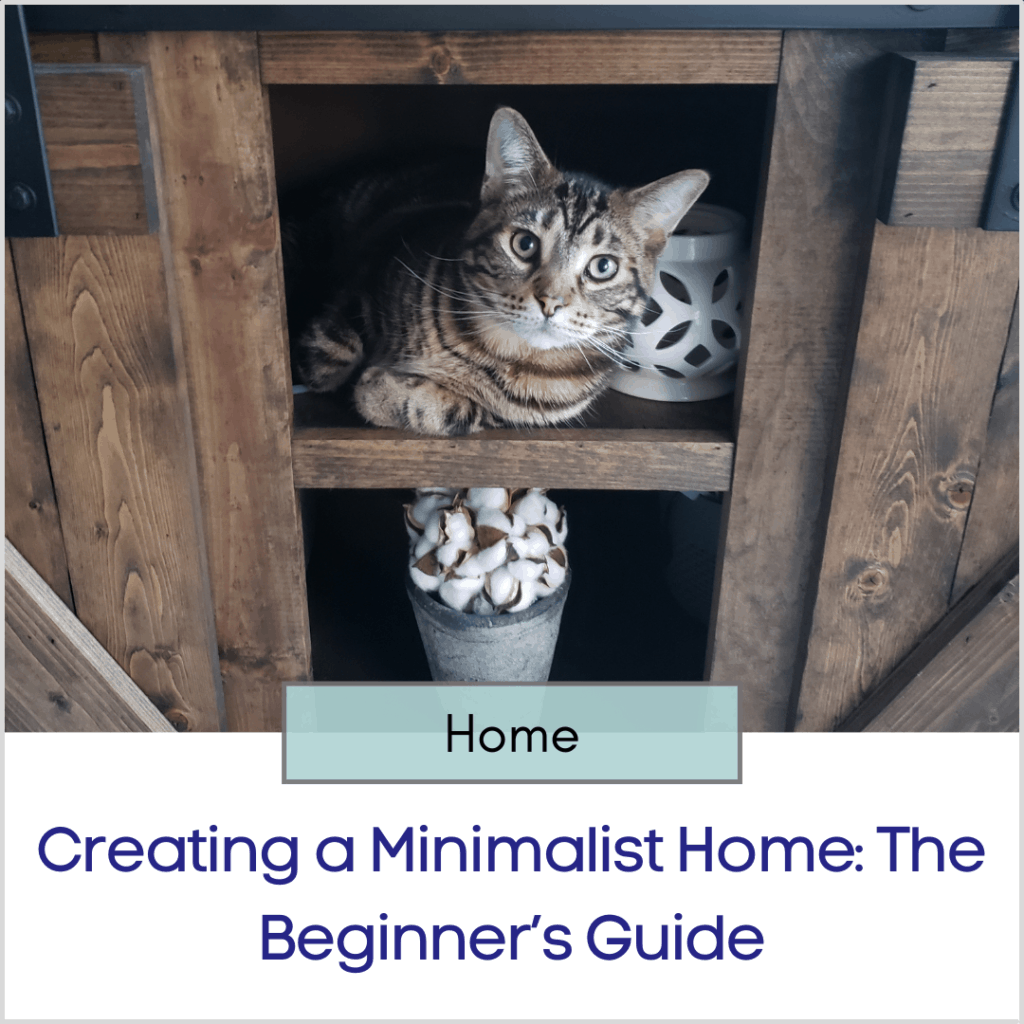 Photo link to an article titled "Creating a Minimalist Home: The Beginner’s Guide"